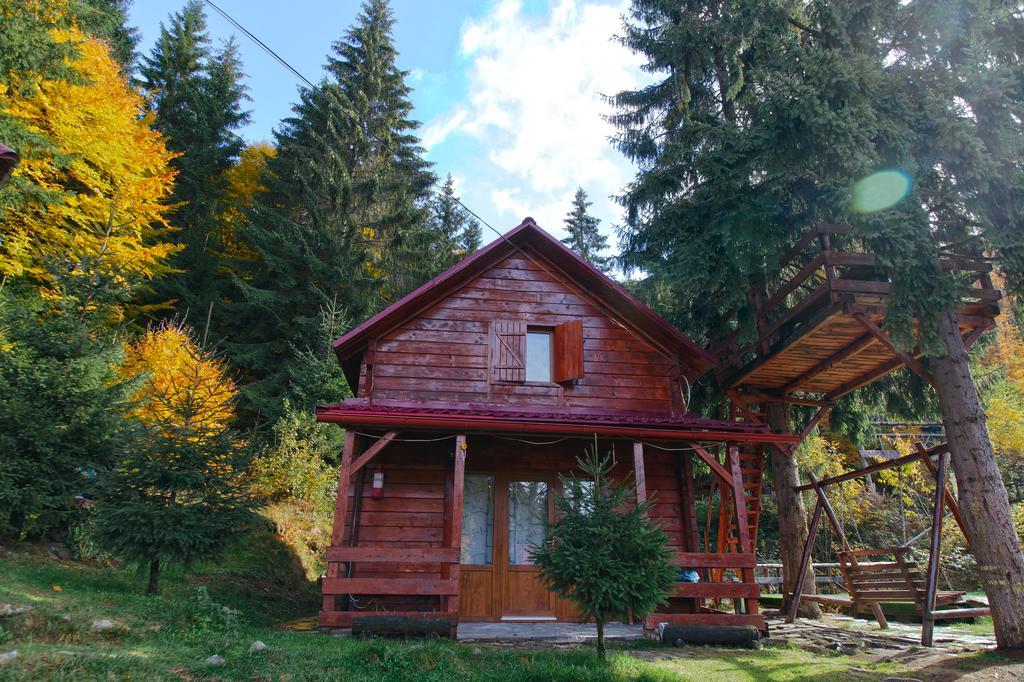 Mountain Apartments Superski Cavnic Zimmer foto